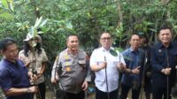 Mayday tanam 1000 Pohon