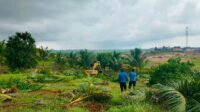 Penertiban Lahan di Tanjung Banon
