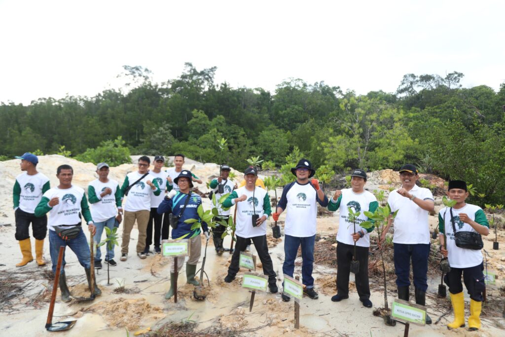 Penanaman mangrove dengan lsm mapan