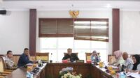 RDPU komisis IV