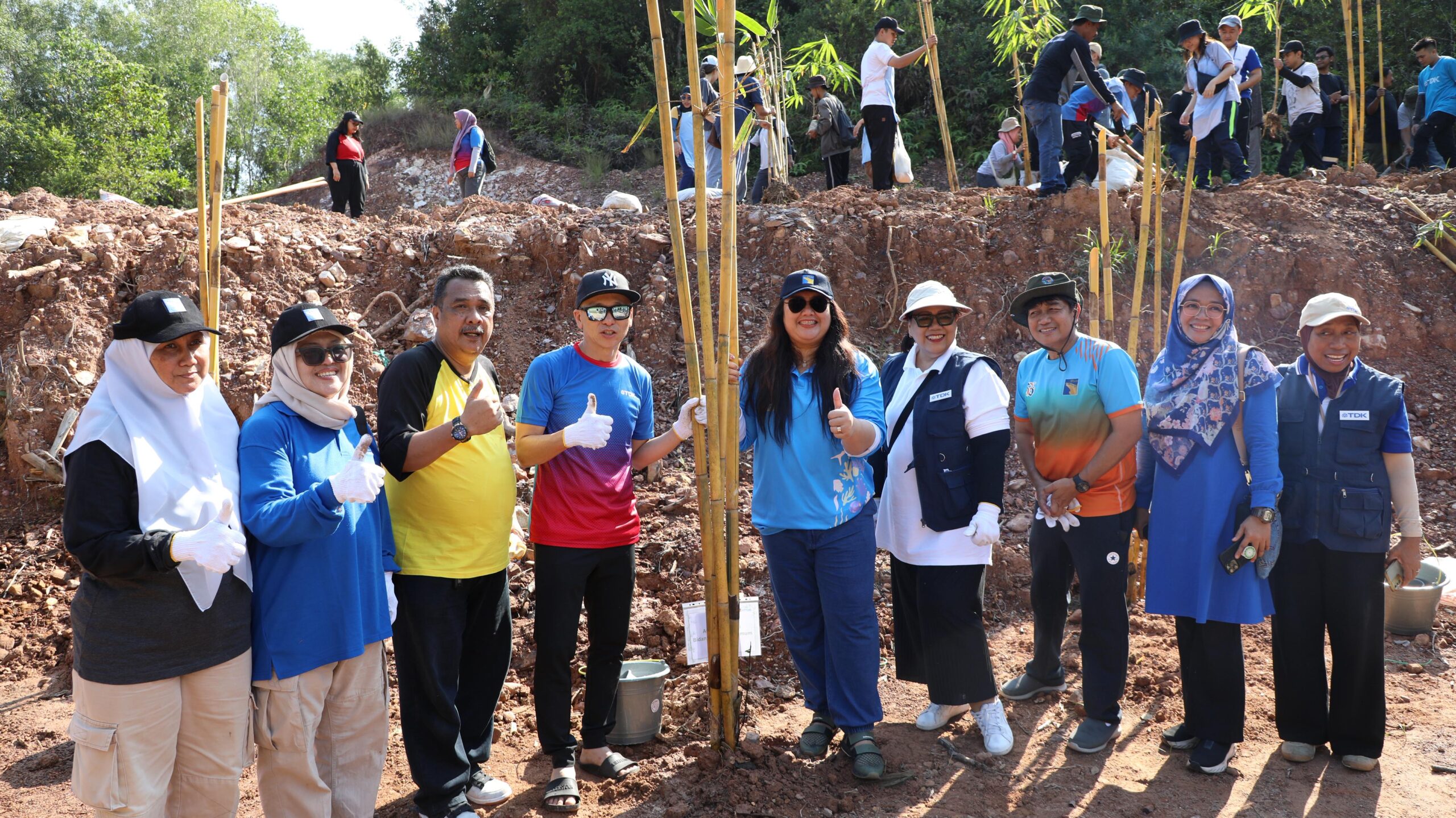 BP Batam dan PT TDK tanam 200 Pohon Bambu