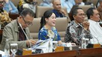 BP Batam Pada RDP Komisi VI DPR