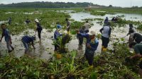BP Batam bersama Masyarakat Gotong Royong Bersihkan Waduk
